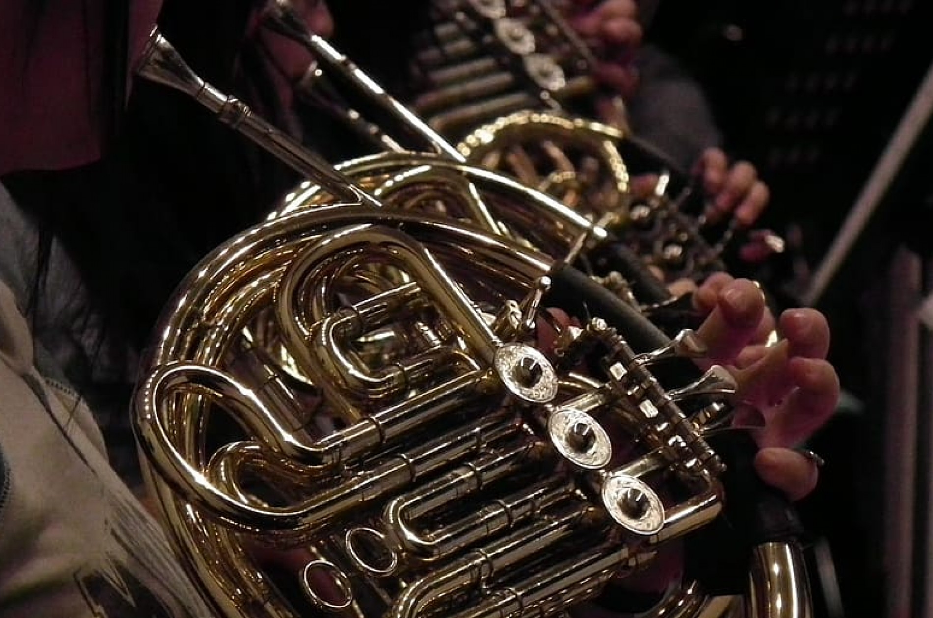 Brass - french horn reflections